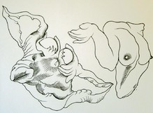 Her eggs of life - 2006
