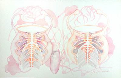 Dissected Bodies - 2016